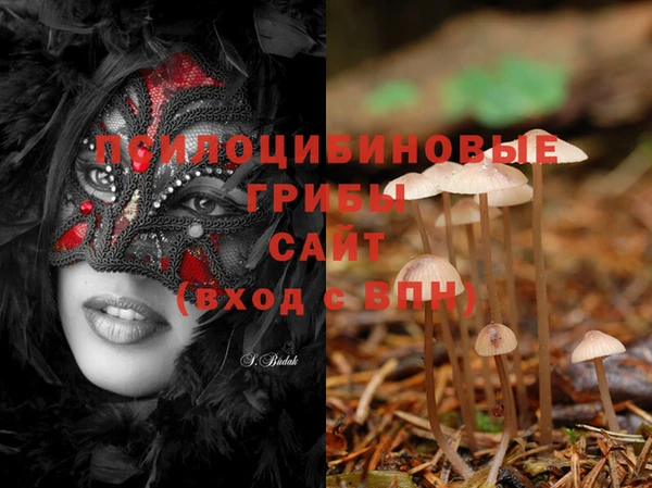 PSILOCYBIN Богородицк