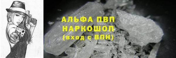 PSILOCYBIN Богородицк