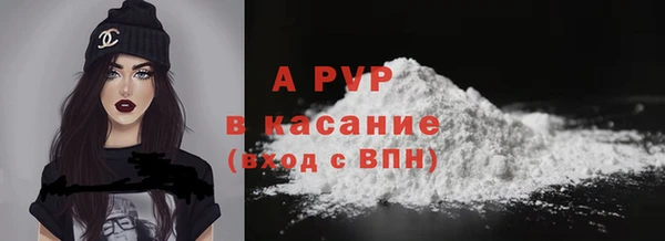 PSILOCYBIN Богородицк