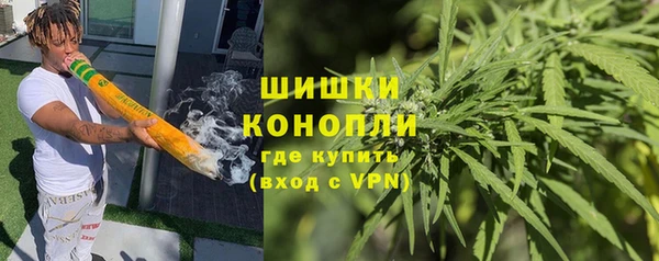 PSILOCYBIN Богородицк