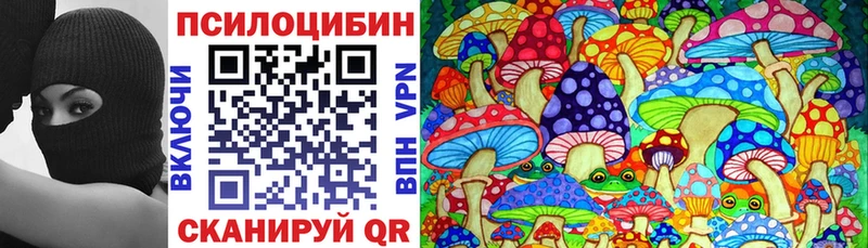 Псилоцибиновые грибы Psilocybine cubensis  Купить где  Волчанск 